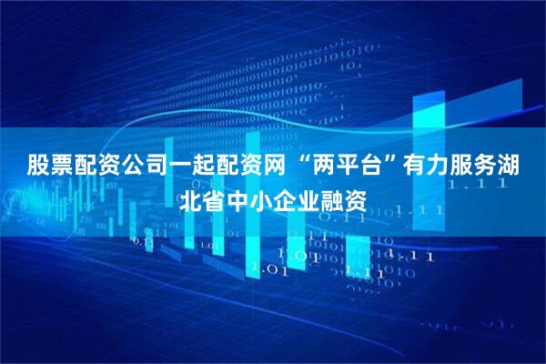 股票配资公司一起配资网 “两平台”有力服务湖北省中小企业融资