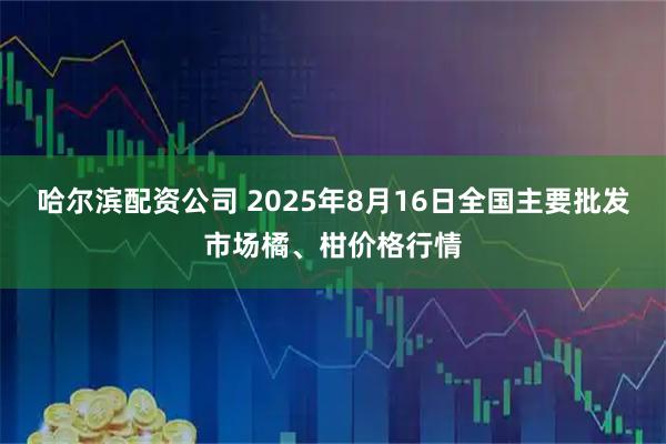 哈尔滨配资公司 2025年8月16日全国主要批发市场橘、柑价格行情