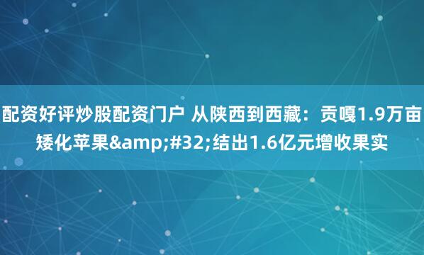 配资好评炒股配资门户 从陕西到西藏:贡嘎1.9万亩矮化苹果 结出1.6亿元增收果实